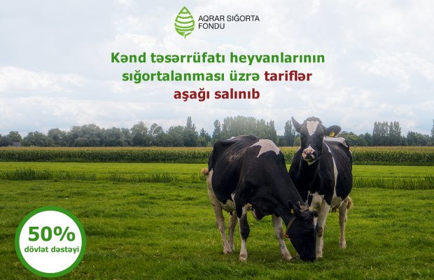 icbarı əmlak